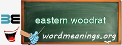 WordMeaning blackboard for eastern woodrat